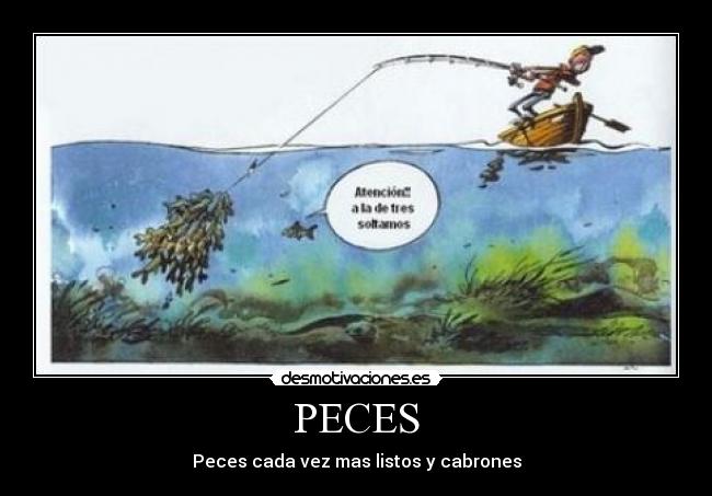 PECES - Peces cada vez mas listos y cabrones