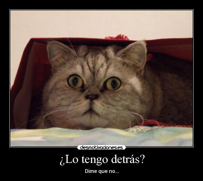 ¿Lo tengo detrás? - 