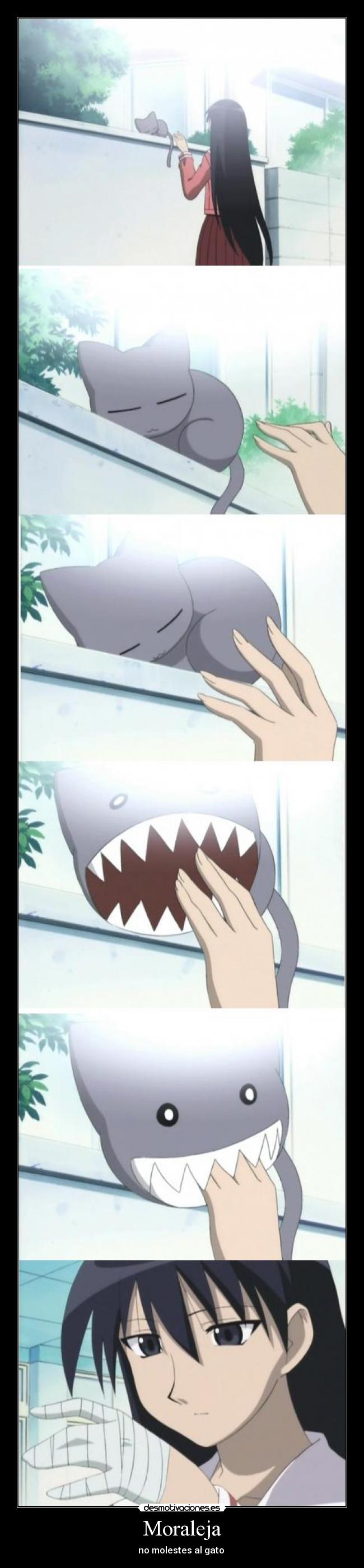 Moraleja - no molestes al gato 