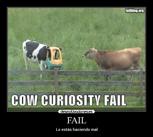 FAIL -