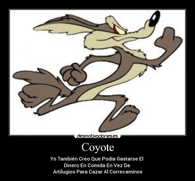 Coyote -
