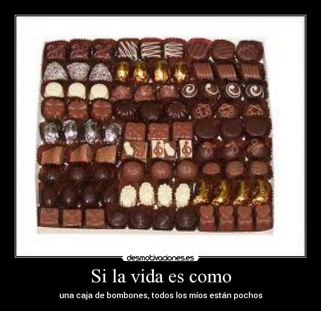 Si la vida es como - 