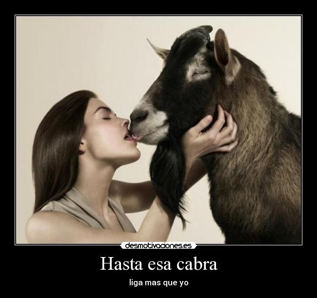 Hasta esa cabra -
