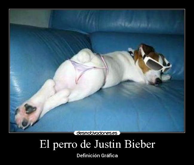 El perro de Justin Bieber - 