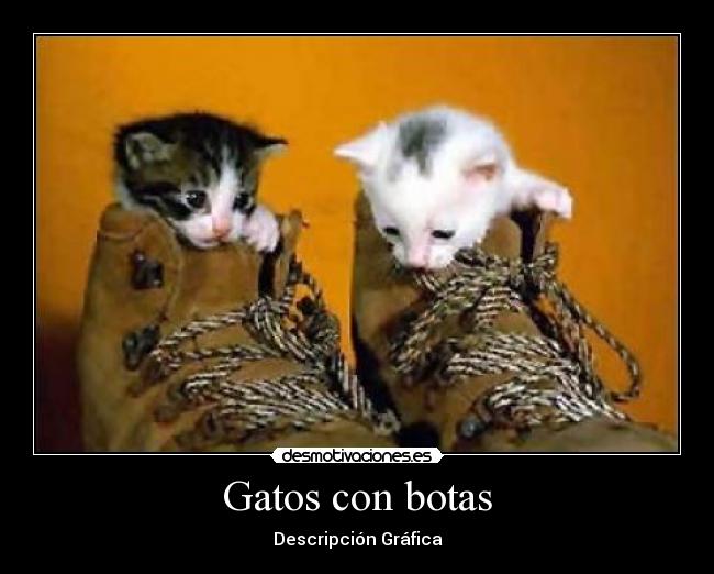 carteles gatos botas gatos desmotivaciones