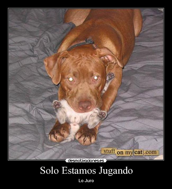 Solo Estamos Jugando - Lo Juro