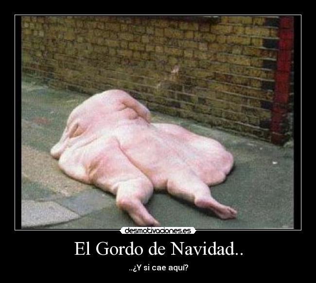 El Gordo de Navidad.. - 