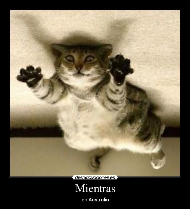 Mientras -