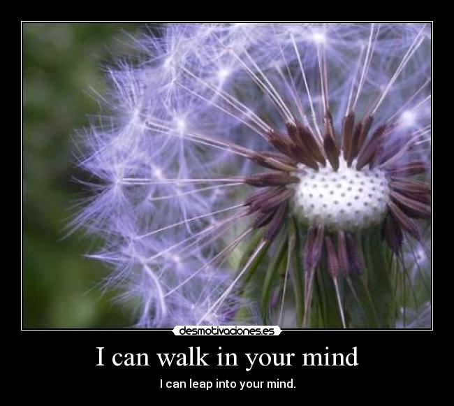 carteles mind walk can leap into your luckylucifer the servant desmotivaciones