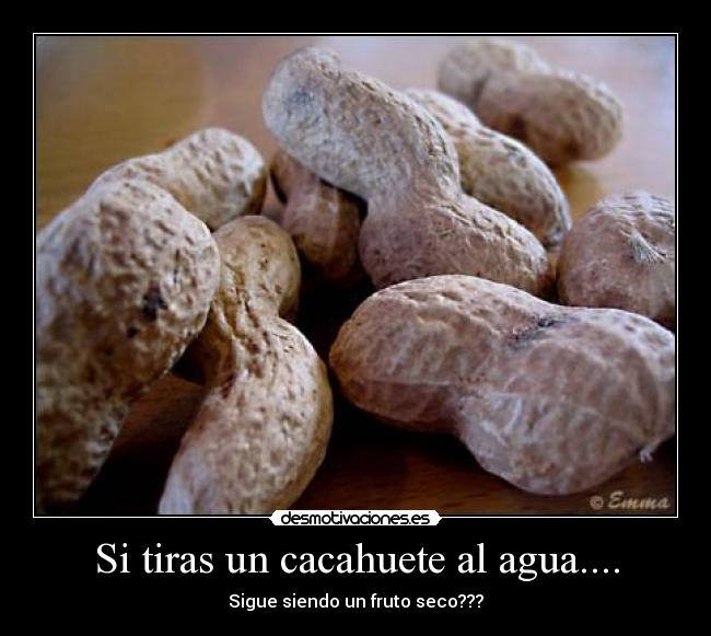 Si tiras un cacahuete al agua.... - 