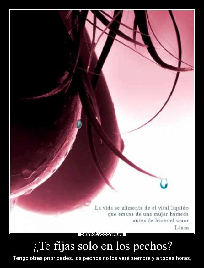 carteles hay otras cosas desmotivaciones