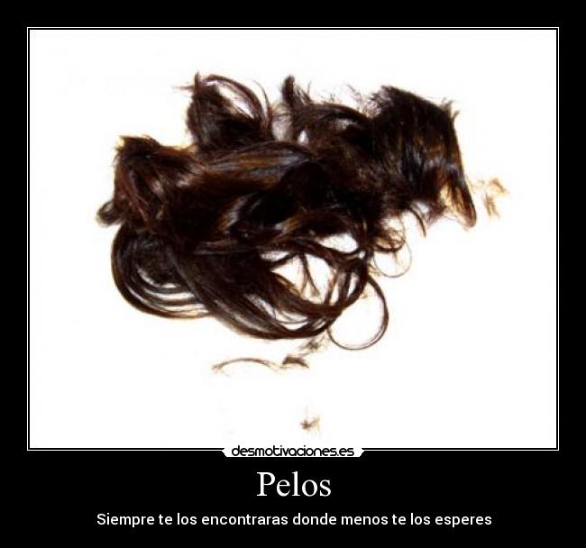 Pelos - Siempre te los encontraras donde menos te los esperes