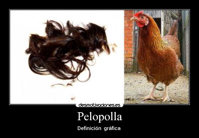 Pelopolla - 