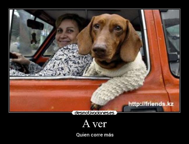 A ver - Quien corre más