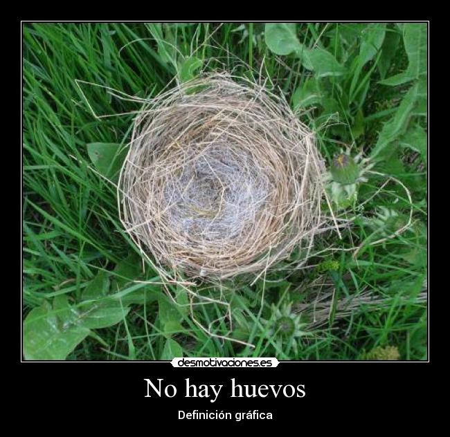 No hay huevos - 