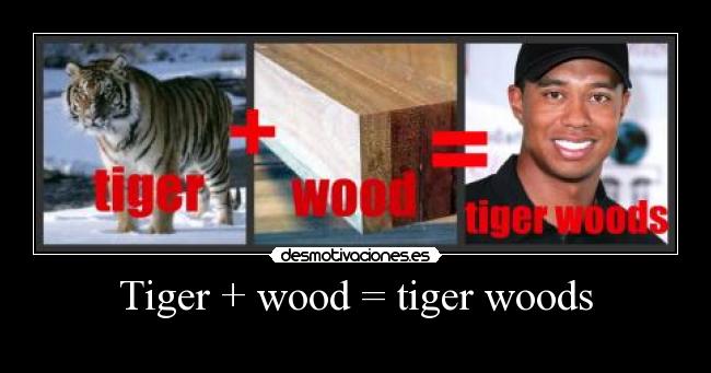 Tiger + wood = tiger woods -