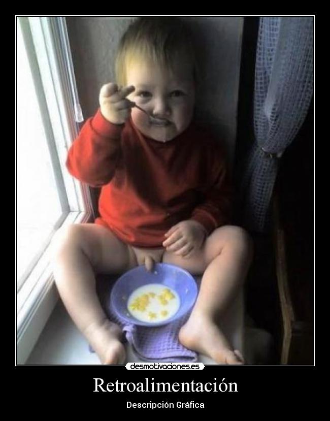 Retroalimentación -