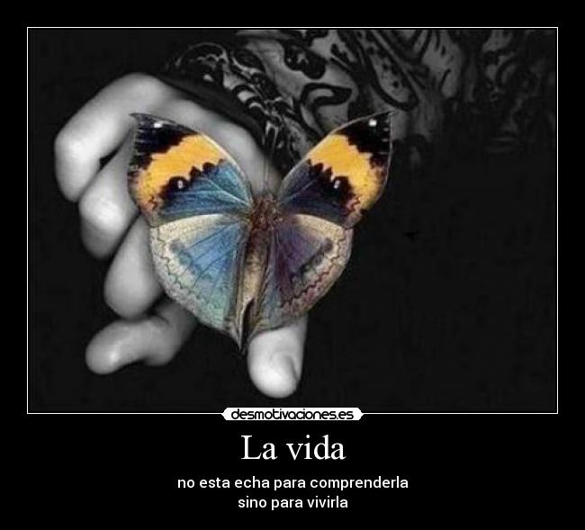 carteles vida vida comprender vivir desmotivaciones