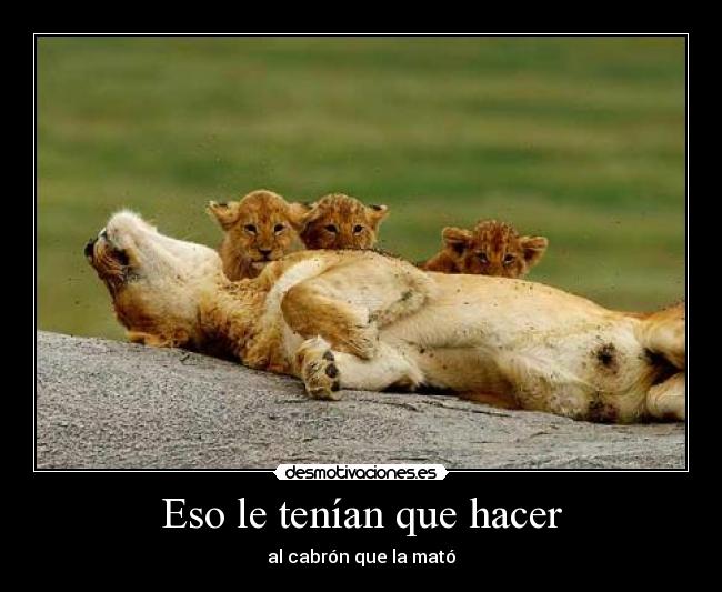 Eso le tenían que hacer - al cabrón que la mató