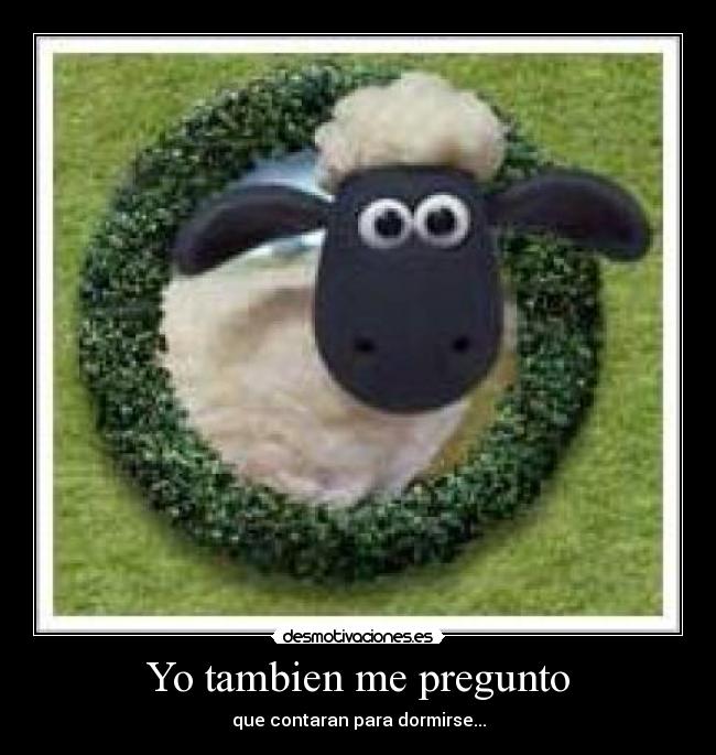 Yo tambien me pregunto - 