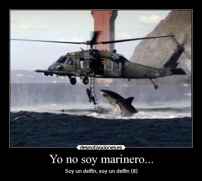 Yo no soy marinero... - Soy un delfín, soy un delfín (8)