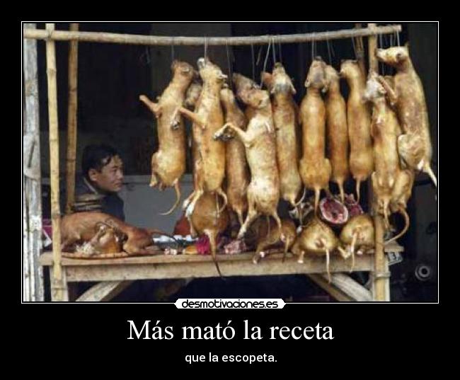 carteles con excusa que comida desmotivaciones