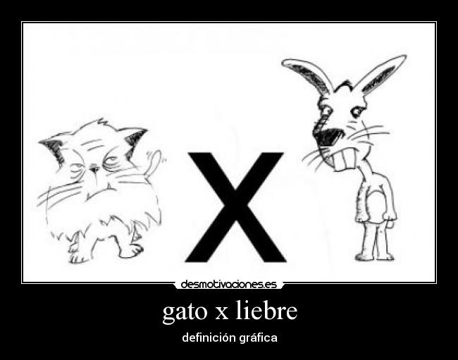 gato x liebre - definición gráfica