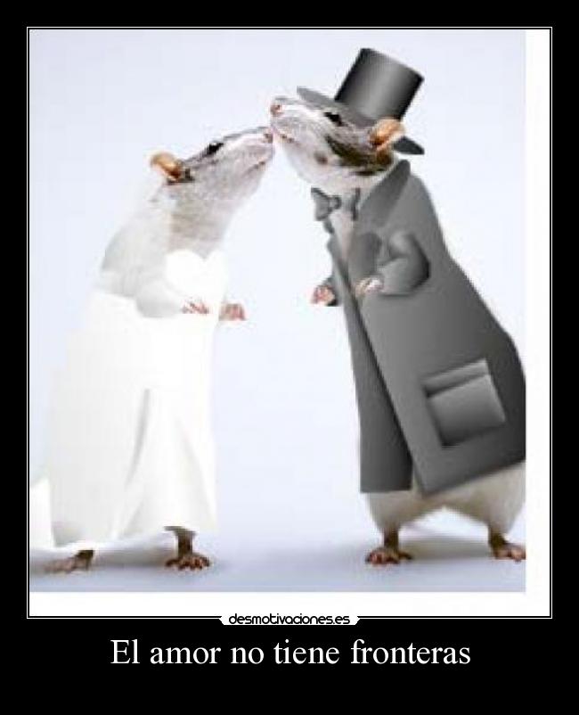 El amor no tiene fronteras -