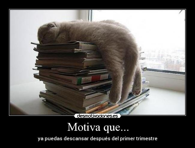 Motiva que... -
