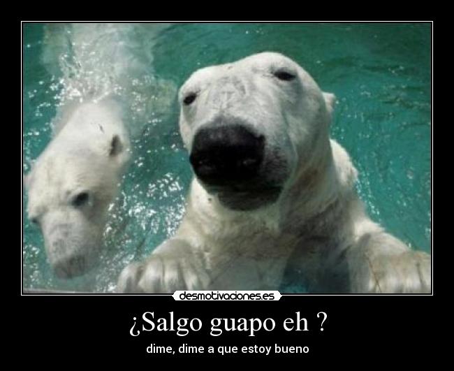 ¿Salgo guapo eh ? -