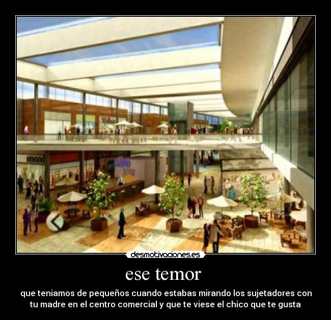 ese temor - que teniamos de pequeños cuando estabas mirando los sujetadores con
tu madre en el centro comercial y que te viese el chico que te gusta