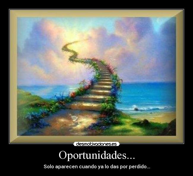 Oportunidades... - 
