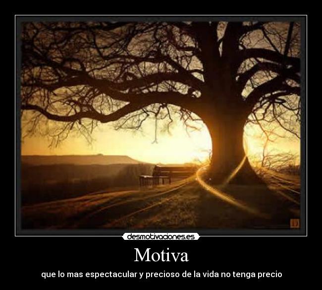 Motiva - que lo mas espectacular y precioso de la vida no tenga precio