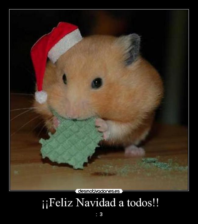 ¡¡Feliz Navidad a todos!! - :  3