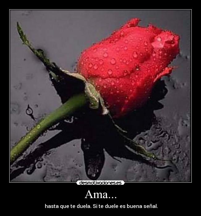 Ama... - hasta que te duela. Si te duele es buena señal.