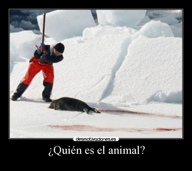 ¿Quién es el animal? -