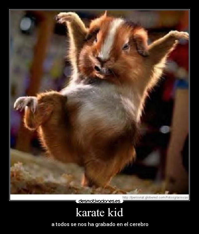 karate kid - a todos se nos ha grabado en el cerebro