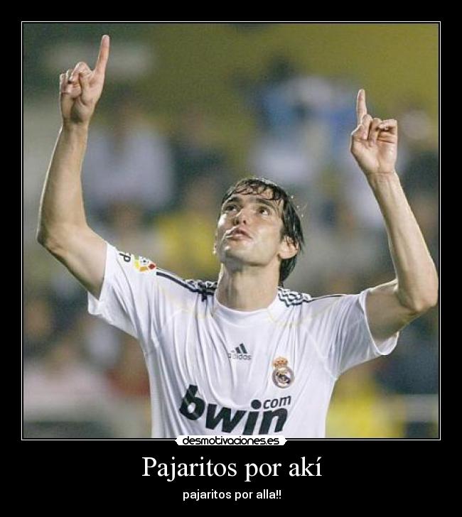 Pajaritos por akí - pajaritos por alla!!