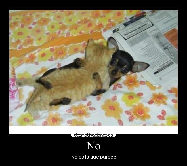 No - No es lo que parece