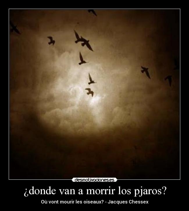 ¿donde van a morrir los pjaros? - Où vont mourir les oiseaux? - Jacques Chessex