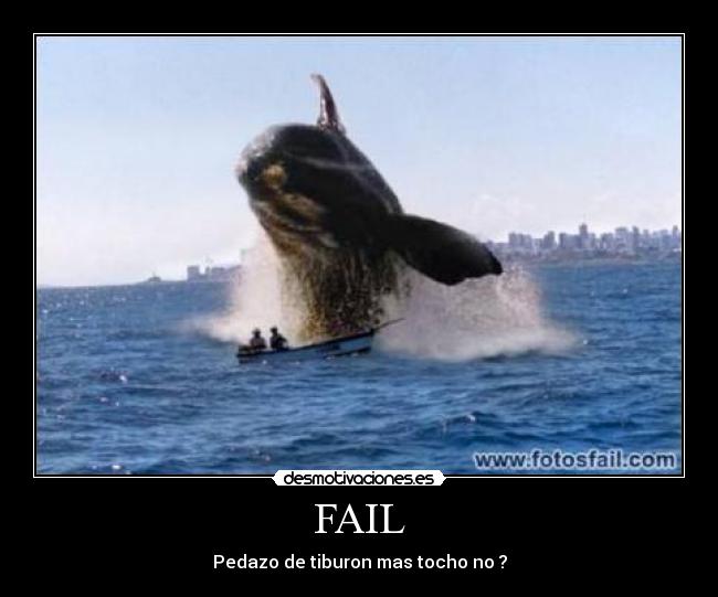FAIL - Pedazo de tiburon mas tocho no ?