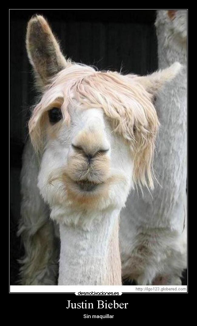 Justin Bieber -