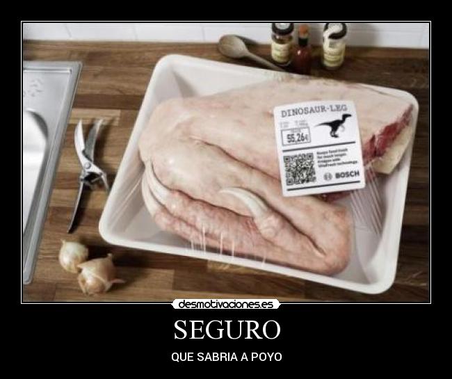 SEGURO -