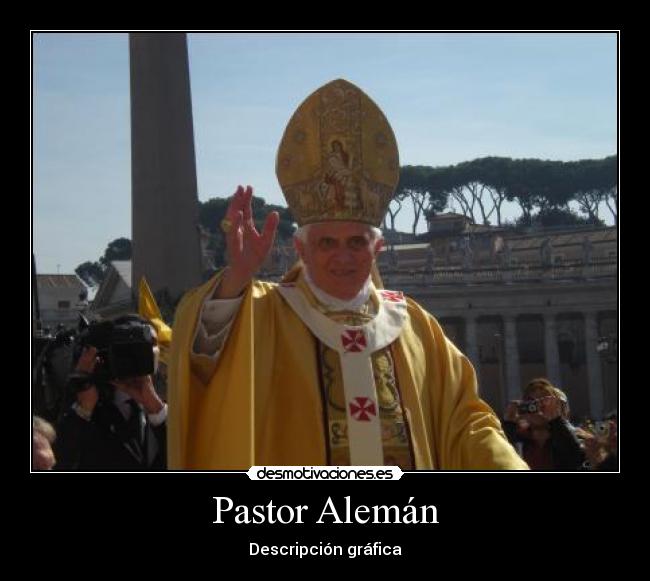Pastor Alemán - 