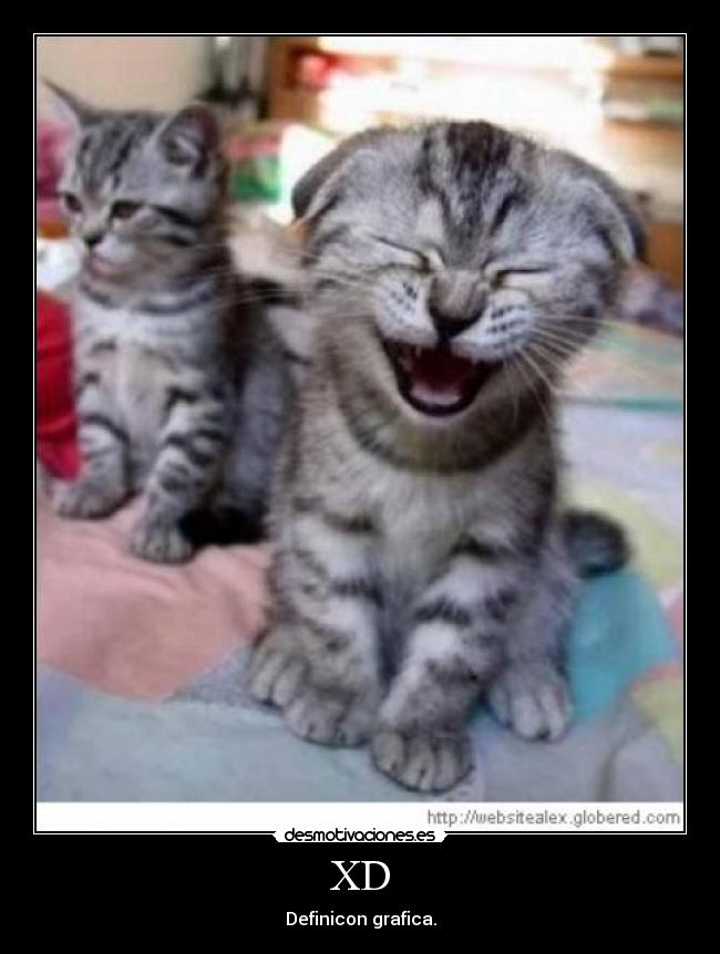 XD - Definicon grafica.