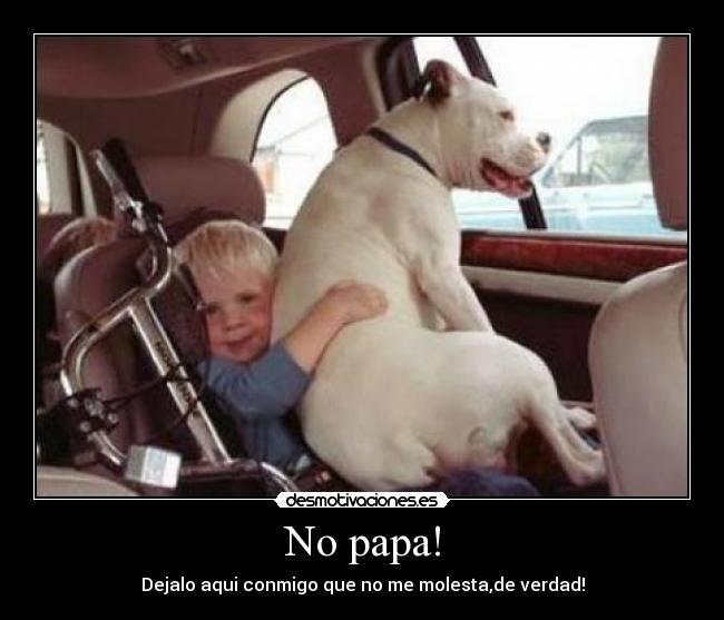 No papa! - Dejalo aqui conmigo que no me molesta,de verdad!