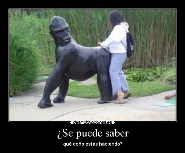 ¿Se puede saber - qué coño estás haciendo?