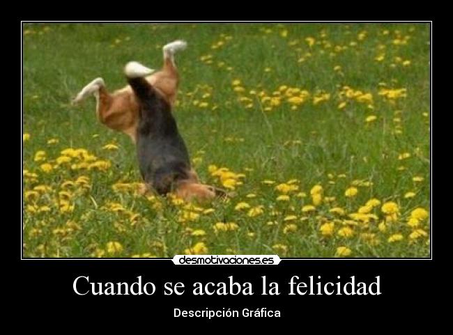 Cuando se acaba la felicidad - Descripción Gráfica