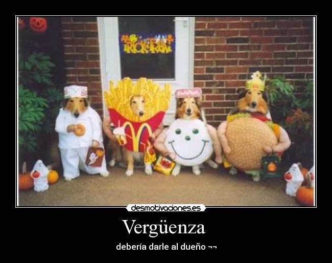 Vergüenza - debería darle al dueño ¬¬