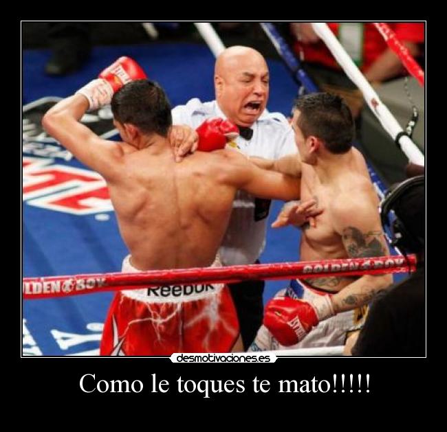 Como le toques te mato!!!!! - 